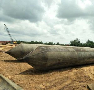 Nkoj Pib Thiab Tsaws Cua Cov Hnab